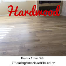 Our Downs Amur Oak Hardwood It Has A 50 Year Warranty Flooring Oak Hardwood Downs
