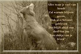 Deel Van Je Honden Gedichten Honden Teksten Honden