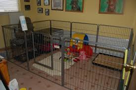 Awesome Indoor Puppy Area Dog Playpen Dog Playpen Indoor Puppy Pens