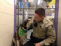 For Animal People Animal Lover Quotes Animal Control Dog Quotes Funny
