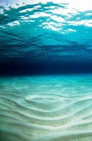 Superb Nature Sea And Ocean Sea Floor Ocean