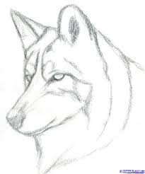 1348 1614 Dessin Au Crayon De Loups De Loup Pour Dessiner Etape 9 Comment Dessiner En 2020 Dessin Loup Facile Dessin Au Crayon Dessin De Loup
