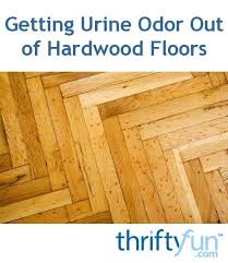 Cleaning Pet Urine Odor From Hardwood Floors Cleaning Pet Urine Flooring Hardwood Floors