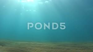 Sun Rays And Sandy Ground Of The Ocean Stock Footage Sandy Rays Sun Ground Ocean Sun Rays Art Logo