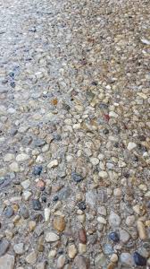 Something Like This But Maybe Less Uniform And Less Dense Ie Having Areas That Don T Have This P Exposed Aggregate Concrete Aggregate Concrete Concrete Patio