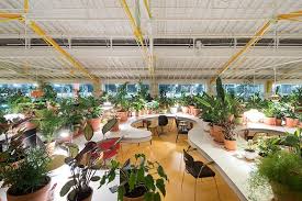 Second Home Lisboa Designed By Selgascano Opens Coworking Space Lisbon Architecture