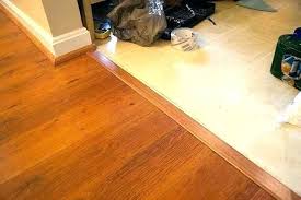 Floor Transitions For Uneven Floors Imposing Rubber Transition Molding Wood T Laminate Interiors 32 Flooring Uneven Floor Floor Stain