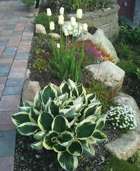 1001 Idees Et Conseils Pour Amenager Une Rocaille Fleurie Charmante En 2020 Decoration Jardin Idee Amenagement Jardin Amenagement Paysager Devant Maison