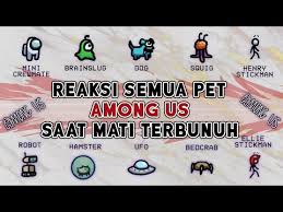 Imankw7uw2 Xam