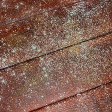 How To Remove Toxic Mold In Your Home Hunker Mold Remover On Wood Mold Remover Cleaning Wood Furniture