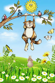 Https Encrypted Tbn0 Gstatic Com Images Q Tbn 3aand9gcrufdji8z55dkwbuywpxwfu5nwtcid1 U7fuw Usqp Cau