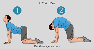 Pin On Exercise