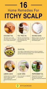 16 Home Remedies For Itchy Scalp Dry Scalp Treatment Itchy Scalp Treatment Itchy Scalp