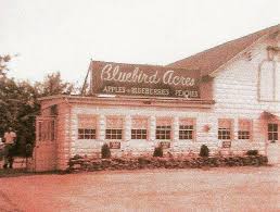Bluebird Acres E Longmeadow Acre Old Pictures Historical Pictures