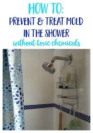 Homemade Mold Cleaner Other Natural Ways To Treat Mold In The Shower Mold In Bathroom Cleaning Mold Shower Mold