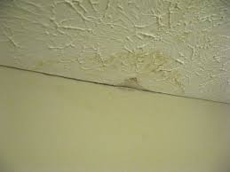 Handyman Q A How To Deal With Ceiling Stains Clever Way To Get Rid Of Mosquitoes Repair Concrete Drivew Water Stain On Ceiling Remove Water Stains Slab Leak