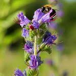 Pin On Sihat Bertenaga