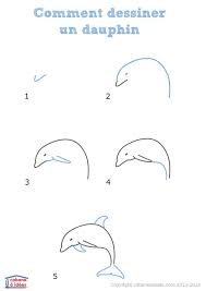 0460202 Dessiner Dauphin Jpg 600 848 Pixels Dessin Facile Animaux Comment Dessiner Dauphin Dessin