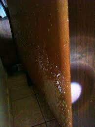 How To Remove Mold From Wood Furniture Mold Remover Mold Remover On Wood Cleaning Mold