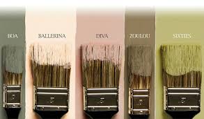 Tollens Flamand Couleur Nuancier Couleur Peinture Flamant