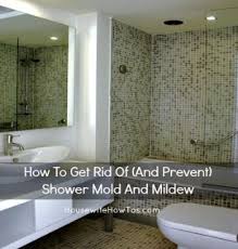 How To Get Rid Of Mildew And Keep It From Returning Shower Mold Bathroom Cleaning Mold In Bathroom