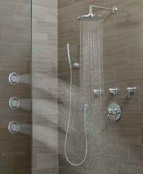 Example Of Body Sprayers Overhead And Hand Held Shower Package Doesn T Shown Overhead Rain Which Should Be Shower Fixtures Moen Shower Fixtures Shower Heads