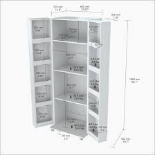 Lowes Kitchen Storage Cabinets Luxury Cabinet Ideas Laundry Room Cabinets Home Depot Lowes Kitchen Pantry Storage Cabinet White Kitchen Storage
