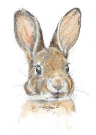 Epingle Par Lolison Sur Dessin Bebe Lapin Art Dessin Lapin Art Animalier