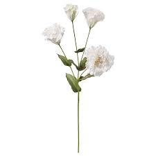 Smycka Fleur Artificielle Lisianthus Blanc Ikea En 2020 Fleurs Artificielles Fleurs Types De Fleurs