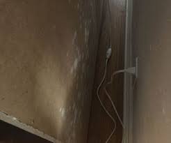 Ikea Mildew Removal Mildew Remover Cleaning Mold Mold Remover