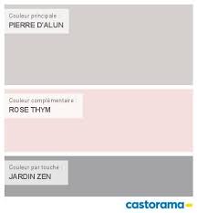 Castorama Nuancier Peinture Mon Harmonie Peinture Pierre D Alun Satin De Tollens Elements Nuancier Peinture Peinture Rose