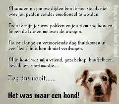 Maatje Hondenliefhebbers Honden Teksten Huisdier Citaten