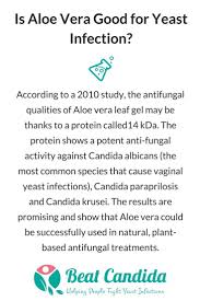 Find Out What Makes Aloe Vera A Great Home Remedy For Yeast Infection And How To Make Aloe Vera Gel Yeast Infection Yeast Infection Cure Yeast Infection Relief