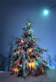 Save Up To 60 On Christmas Tree Brylanehome Christmas Scenes Outdoor Christmas Christmas Lights