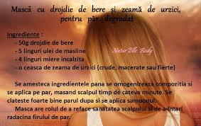 Masca Cu Drojdie De Bere Si Zeama De Urzici Pentru Par Degradat Hair Masque Beauty Care Natural Health Remedies