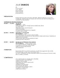 Exemple De Cv Vendeur Cv Vendeur Exemple Cv Lettre De Motivation