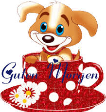 Https Encrypted Tbn0 Gstatic Com Images Q Tbn 3aand9gcrfnospl7jst74wv6t Wcrptfcezadpcif5ta Usqp Cau