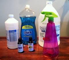 Clone For Bona Floor Cleanser Homemade Floor Cleaners Clean Laminate Cleaning Laminate Wood Floors