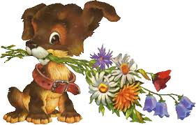 Https Encrypted Tbn0 Gstatic Com Images Q Tbn 3aand9gcrtrftt3 L Ybnhxtfbrwpxbeuolnrfccitcw Usqp Cau