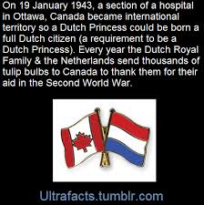 Canada Helps The Dutch Royal Family In Exile During World War 2 They Declared A Maternity Ward In Ottawa Internationa Canadian Soldiers Netherlands Dutch Flag