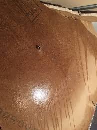 Pin On Ceiling Burst Pipe Leak