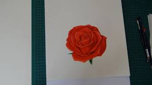 Comment Dessiner Une Rose Avec Des Crayons De Couleur Dessin Rose Comment Dessiner Une Rose Dessin Crayon De Couleur