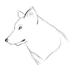 Dessiner Un Loup Ou Un Chien Drawings Animal Drawings Draw