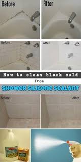 How To Clean Black Mold From Shower Silicone Sealant Clean Black Mold House Cleaning Tips Toilet Cleaning