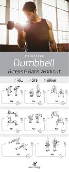 Dumbbell Biceps And Back Workout Posted By Customweightlosstips Com Back And Bicep Workout Dumbbell Bicep Workout Biceps Workout