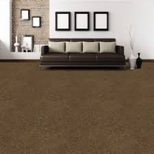 Dark Chocolate Carpet And White Walls Brown Carpet Living Room Brown Carpet Bedroom Living Room Carpet