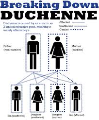 Pin By Diana Isabel Rebellon Valencia On Duchenne Muscular Dystrophy Duchenne Muscular Dystrophy Muscular Dystrophies Duchenne Muscular Dystrophy Awareness