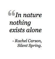 What Is Rachel Carson S Legacy 6 Women Leaders Speak Out On The Message That Still Holds True Today Rachel Carson Quotes Rachel Carson Ecology Quotes