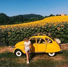 Pin By Claudette Lane On Lovely Yellow Yellow Aesthetic Aesthetic Backgrounds Vintage Italy