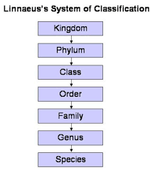 Diversity In Living Organisms Class Ix Science Notes In Pdf Chapt Science Notes Apologia Science Zoology